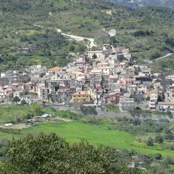 Camini, intimidazione ad un assessore: tagliati circa 100 alberi