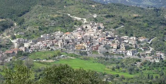 Camini, intimidazione ad un assessore: tagliati circa 100 alberi