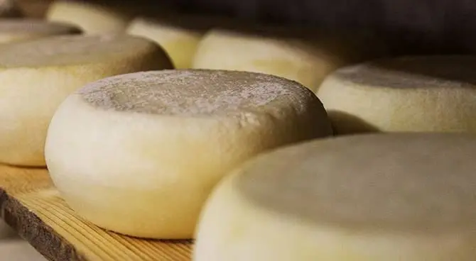 Stati Uniti, il pecorino calabrese viaggia in prima classe