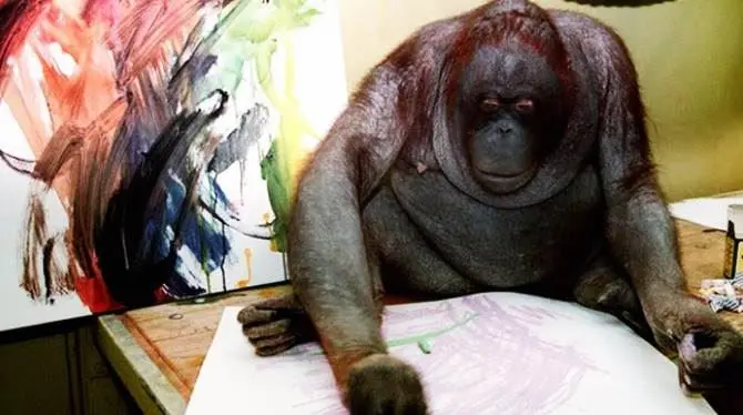 Morta Nonja, l’orangutan pittrice star del web