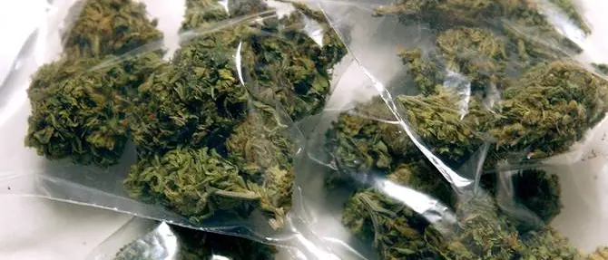 Controlli antidroga, sequestrato un chilo di marijuana