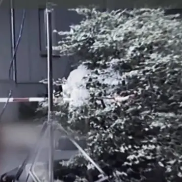 Dalla faida di San Luca alla strage di Duisburg - VIDEO
