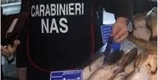 Tentano di vendere 14 chili di pesce avariato, due denunce nel Vibonese