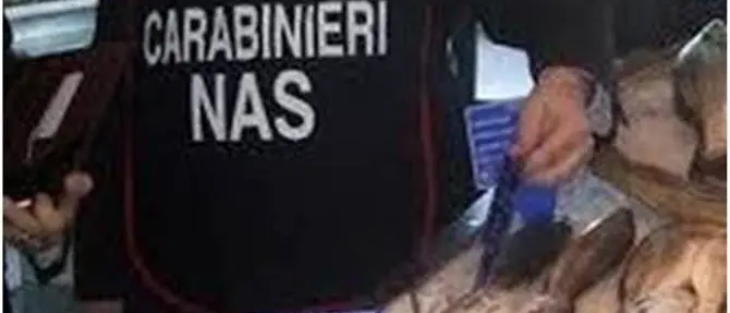 Tentano di vendere 14 chili di pesce avariato, due denunce nel Vibonese
