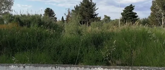 Periferie nel degrado a Corigliano Rossano. E la Lega rincara la dose -VIDEO