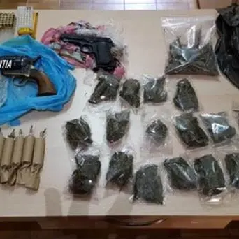 Armi e droga in casa, arrestata intera famiglia nel Vibonese