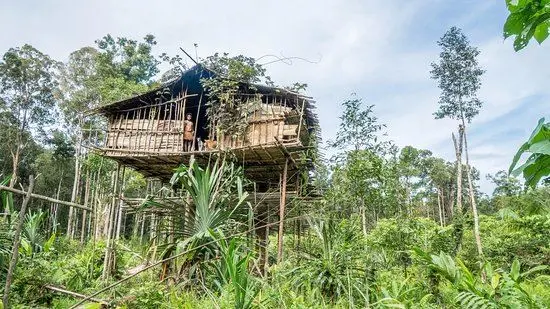 Un calabrese in Papua Nuova Guinea alla scoperta della tribù Koroway - VIDEO