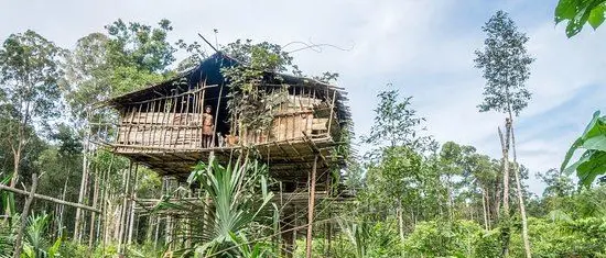 Un calabrese in Papua Nuova Guinea alla scoperta della tribù Koroway - VIDEO