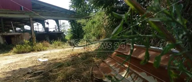 Colpi di fucile contro tre migranti: un morto. Tentavano di prelevare delle lamiere