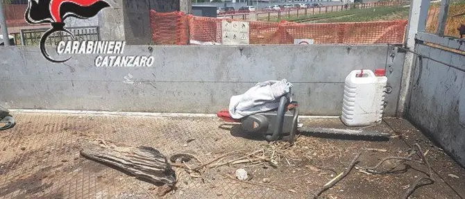 Catanzaro, sorpresi a rubare nel cantiere della metropolitana: arrestati