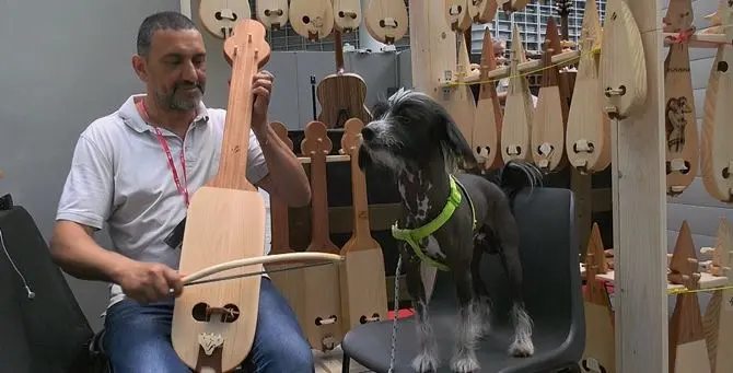 Torniamo alla lira… calabrese: l’antico strumento rivive con due artigiani - VIDEO
