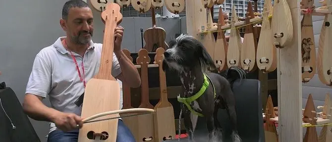Torniamo alla lira… calabrese: l’antico strumento rivive con due artigiani - VIDEO