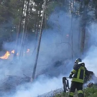 Incendi estivi, riunione in Prefettura a Crotone