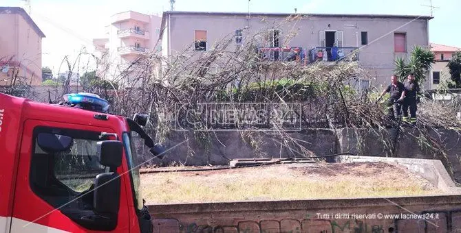 Scoppia incendio vicino alla ferrovia: disagi a Catanzaro