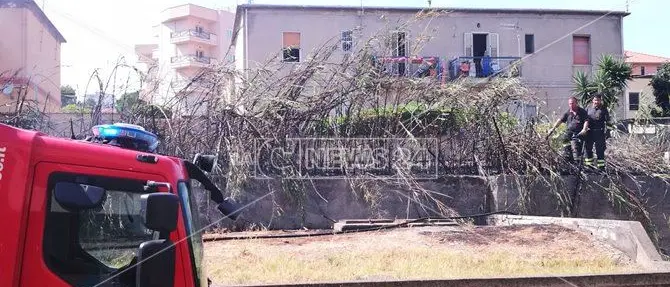 Scoppia incendio vicino alla ferrovia: disagi a Catanzaro
