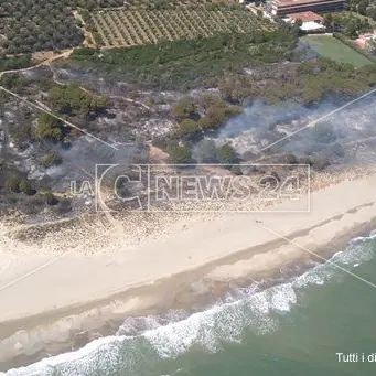 Incendio di vaste proporzioni distrugge dieci ettari a Sellia Marina