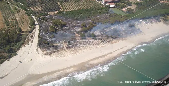 Incendio di vaste proporzioni distrugge dieci ettari a Sellia Marina