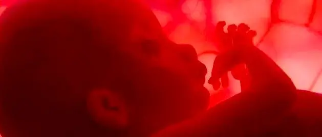 Feto di 6 mesi trovato in un depuratore