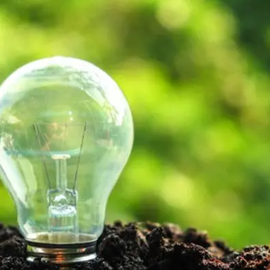 Falerna, si alza il sipario sul Festival del mondo green