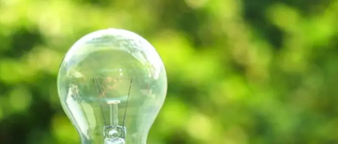 Falerna, si alza il sipario sul Festival del mondo green