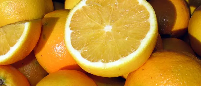 La frutta calabrese protagonista nella Filiera agricola italiana