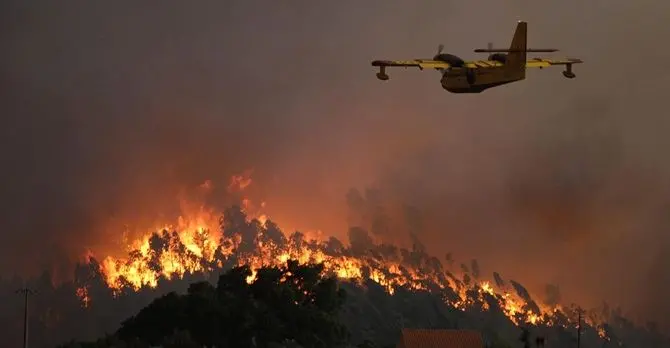 Pollino, mille volontari per prevenire gli incendi