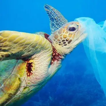 A Corigliano-Rossano la tappa ionica del Plastic Free Tour - VIDEO