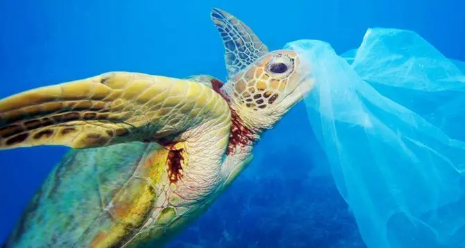 A Corigliano-Rossano la tappa ionica del Plastic Free Tour - VIDEO