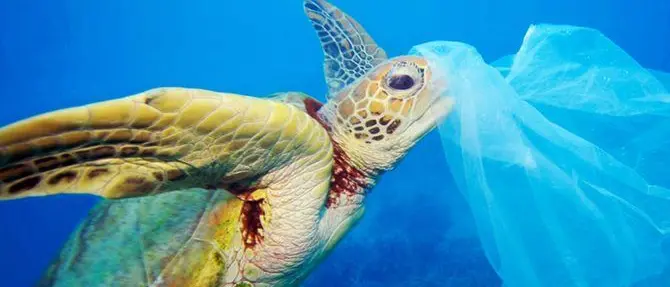 A Corigliano-Rossano la tappa ionica del Plastic Free Tour - VIDEO