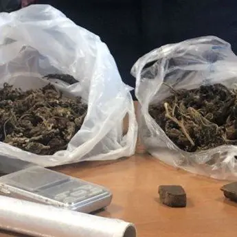 Con la droga in bagno, arrestato 19enne di Guardavalle
