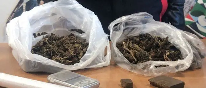 Con la droga in bagno, arrestato 19enne di Guardavalle