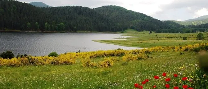 La Calabria regione più bella del mondo tra fake news e verità