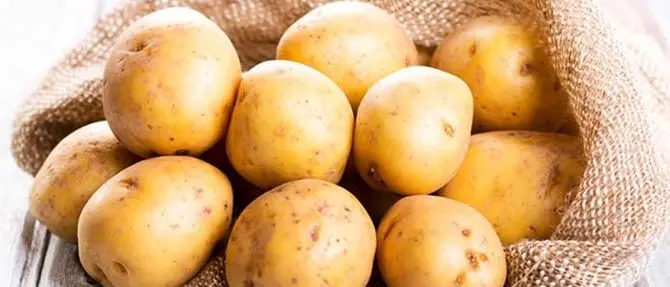 Un'estorsione da romanzo, il cavallo di ritorno sono 60 chili di... patate