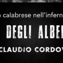 Presentato a Reggio il documentario “La terra degli alberi caduti” - VIDEO