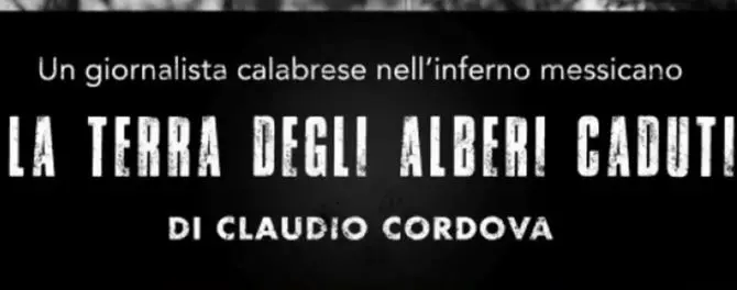 Presentato a Reggio il documentario “La terra degli alberi caduti” - VIDEO