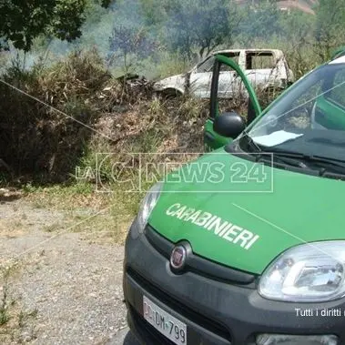 Brucia sterpaglie e provoca un incendio, denunciato