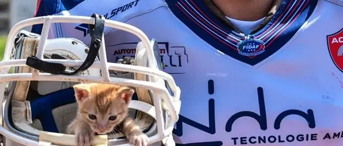 Crotone, gli atleti della Mida Achei si schierano contro l'abbandono degli animali