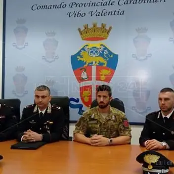 Detenzione e spaccio di marijuana nel Vibonese, otto arresti nell'ultimo anno -VIDEO