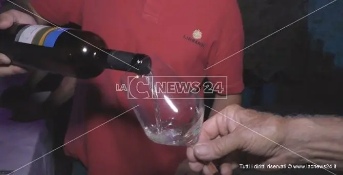 Vini di Calabria: la qualità e gli antichi sapori al centro del Cirò wine festival -VIDEO