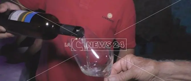 Vini di Calabria: la qualità e gli antichi sapori al centro del Cirò wine festival -VIDEO