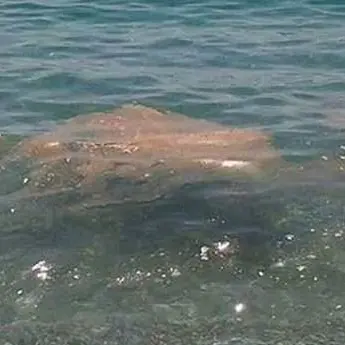 Mare sporco a Locri, Calabrese denuncia e attacca Oliverio