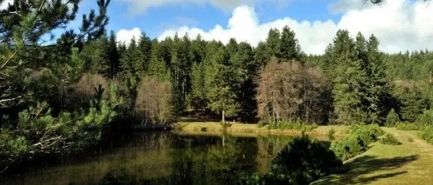 Legambiente chiede maggiore coerenza ai comuni calabresi - VIDEO