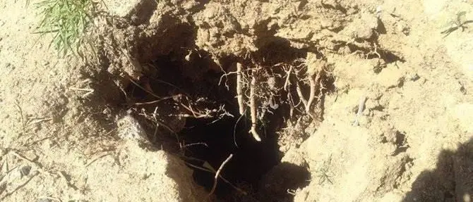 «Donna precipita in una voragine», il Codacons lancia l'allarme