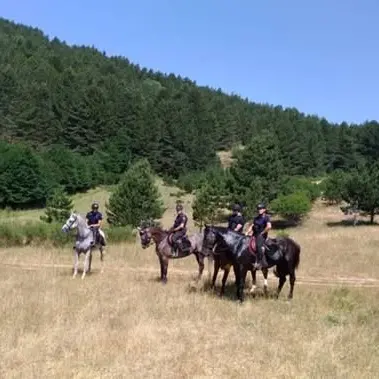 Carabinieri a cavallo nel periodo estivo nel comprensorio di Serra San Bruno