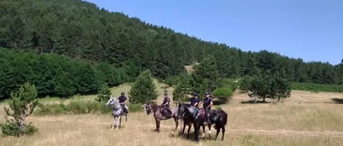 Carabinieri a cavallo nel periodo estivo nel comprensorio di Serra San Bruno