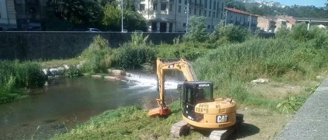 Cosenza, pulizie straordinarie disposte dal Comune