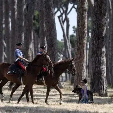 A Serra San Bruno arrivano i carabinieri a cavallo -VIDEO
