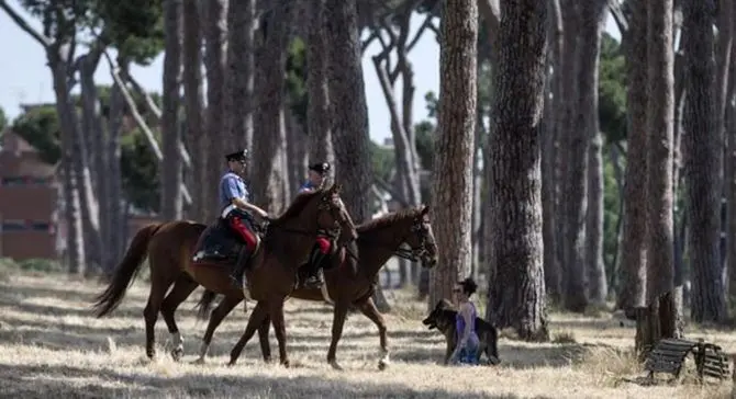 A Serra San Bruno arrivano i carabinieri a cavallo -VIDEO