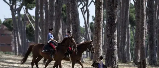 A Serra San Bruno arrivano i carabinieri a cavallo -VIDEO