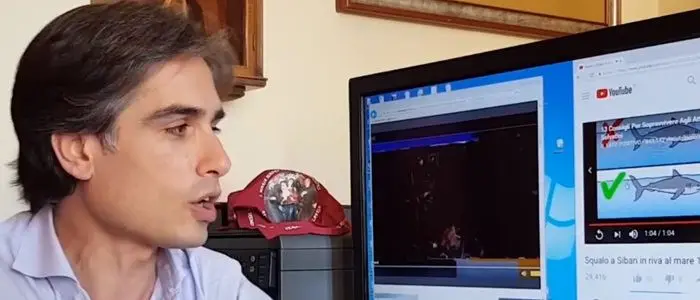 Lo squalo innocuo che spaventa i turisti “Spongebob” del sindaco Falcomatà